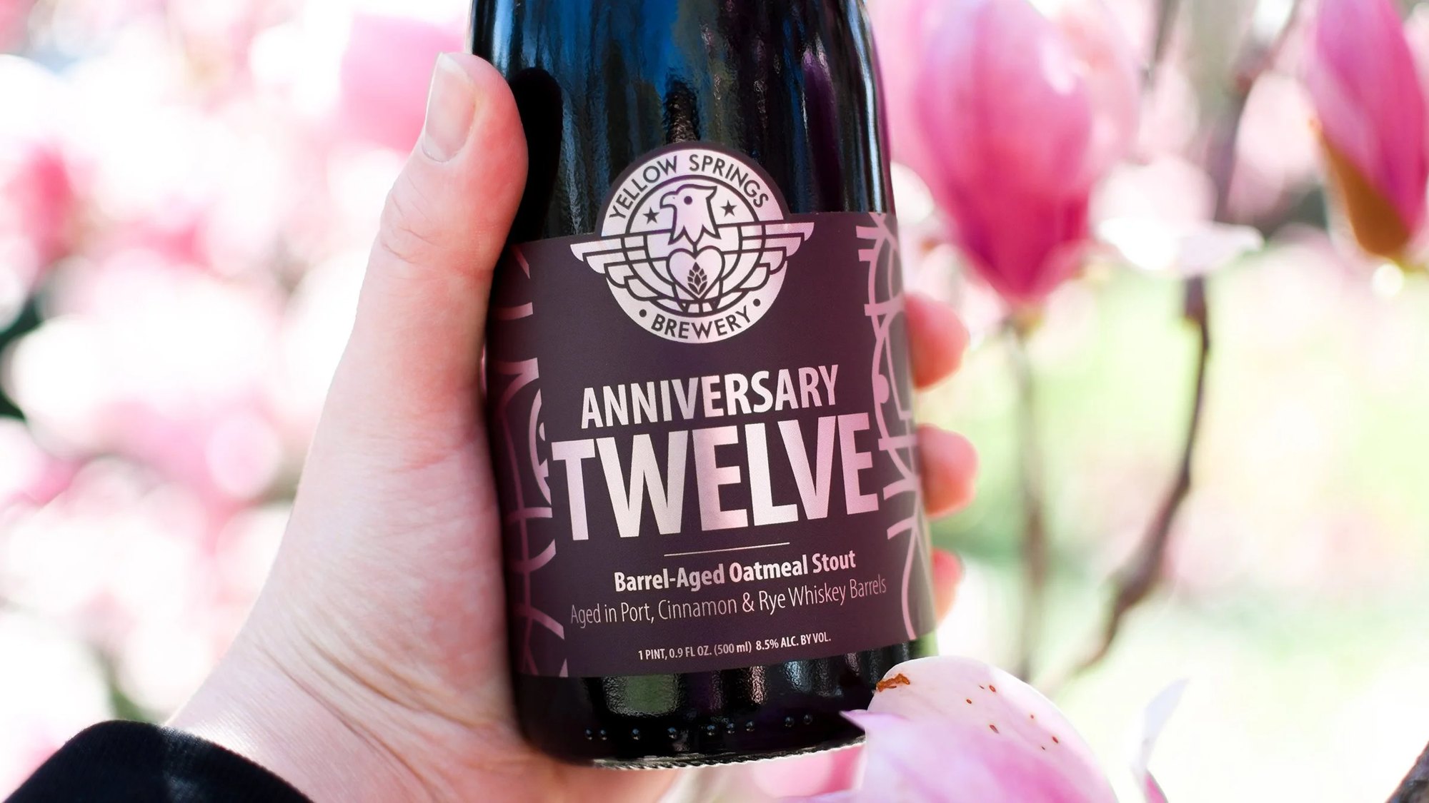 Anniversary Twelve stout held among pink blossoms